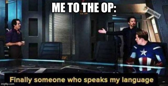 finnaly someone speaks my language | ME TO THE OP: | image tagged in finnaly someone speaks my language | made w/ Imgflip meme maker