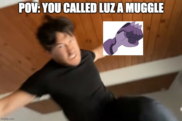 Markiplier Punch | POV: YOU CALLED LUZ A MUGGLE | image tagged in markiplier punch,harry potter,the owl house | made w/ Imgflip meme maker