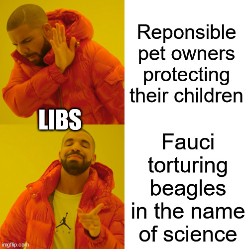 Drake Hotline Bling Meme | Reponsible pet owners protecting their children Fauci torturing beagles in the name of science LIBS | image tagged in memes,drake hotline bling | made w/ Imgflip meme maker