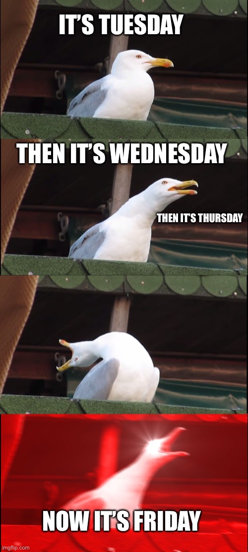 Inhaling Seagull | IT’S TUESDAY; THEN IT’S WEDNESDAY; THEN IT’S THURSDAY; NOW IT’S FRIDAY | image tagged in memes,inhaling seagull | made w/ Imgflip meme maker