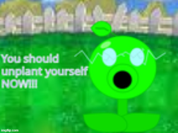 to the zoophile's | image tagged in you should unplant yourself now | made w/ Imgflip meme maker