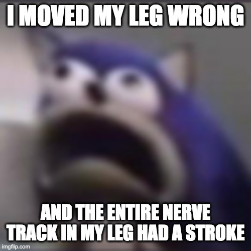 HOLY FUCK | I MOVED MY LEG WRONG; AND THE ENTIRE NERVE TRACK IN MY LEG HAD A STROKE | image tagged in distress | made w/ Imgflip meme maker