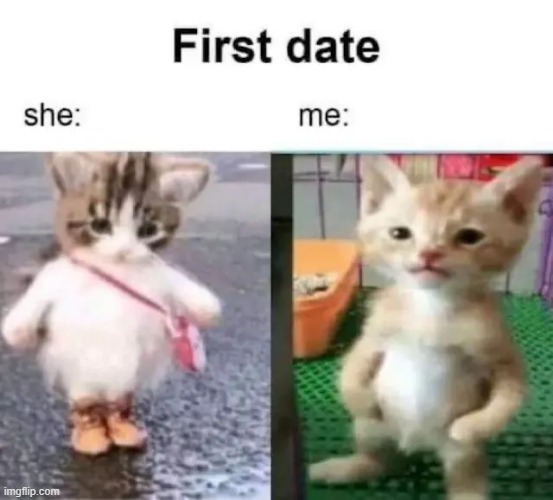 image tagged in memes | made w/ Imgflip meme maker