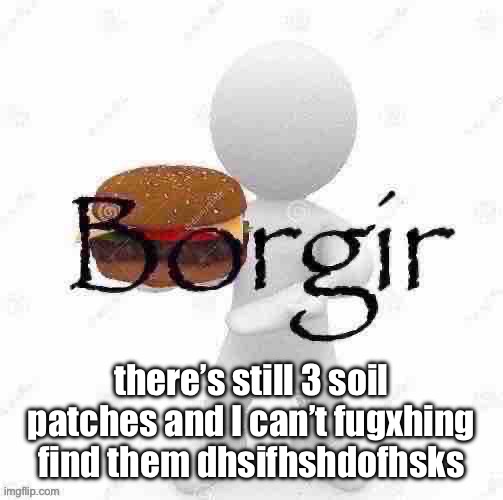 Borgir | there’s still 3 soil patches and I can’t fugxhing find them dhsifhshdofhsks | image tagged in borgir | made w/ Imgflip meme maker