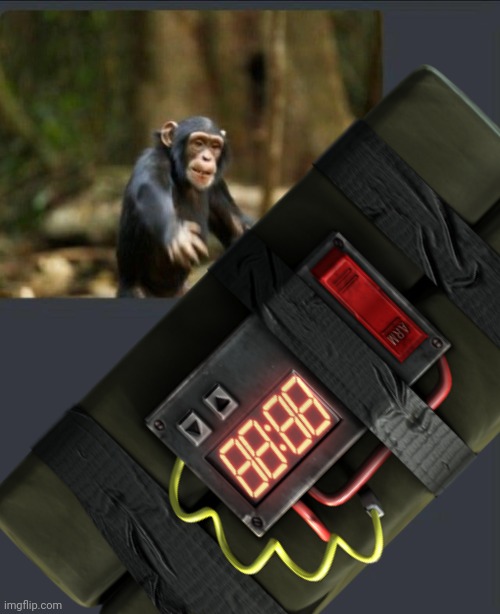 Monkey throwing grenade | image tagged in monkey throwing grenade | made w/ Imgflip meme maker