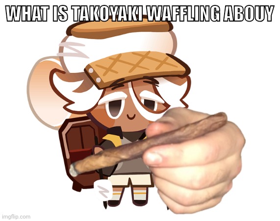 smore cookie with a blunt | WHAT IS TAKOYAKI WAFFLING ABOUY | image tagged in smore cookie with a blunt | made w/ Imgflip meme maker