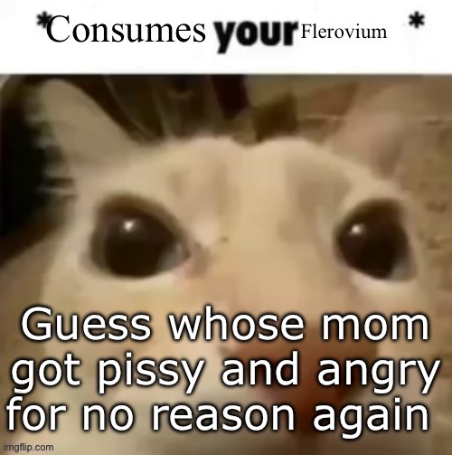 Yakko consumes your flerovium | Guess whose mom got pissy and angry for no reason again | image tagged in yakko consumes your flerovium | made w/ Imgflip meme maker
