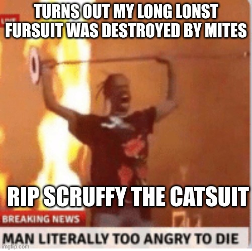 mites moths whatever that cloth eatiting insect is | TURNS OUT MY LONG LONST FURSUIT WAS DESTROYED BY MITES; RIP SCRUFFY THE CATSUIT | image tagged in man literally too angery to die | made w/ Imgflip meme maker