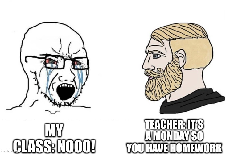 Everyone knows about this... | TEACHER: IT'S A MONDAY SO YOU HAVE HOMEWORK; MY CLASS: NOOO! | image tagged in homework,relatable | made w/ Imgflip meme maker