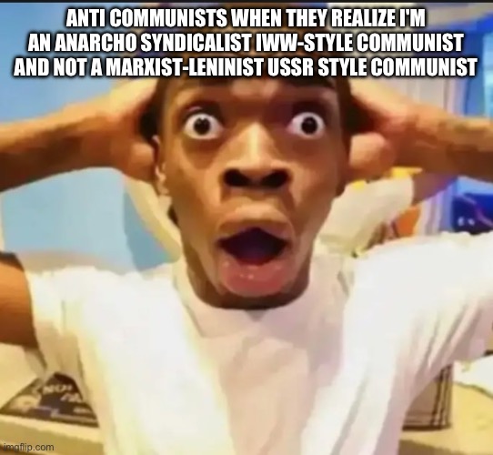 Surprised Black Guy | ANTI COMMUNISTS WHEN THEY REALIZE I'M AN ANARCHO SYNDICALIST IWW-STYLE COMMUNIST AND NOT A MARXIST-LENINIST USSR STYLE COMMUNIST | image tagged in surprised black guy | made w/ Imgflip meme maker