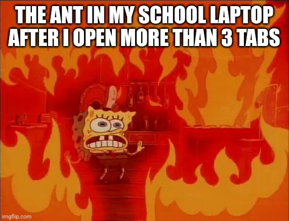 Burning Spongebob | THE ANT IN MY SCHOOL LAPTOP AFTER I OPEN MORE THAN 3 TABS | image tagged in burning spongebob | made w/ Imgflip meme maker