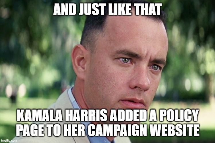 Just Before the Big Debate with Trump | AND JUST LIKE THAT; KAMALA HARRIS ADDED A POLICY PAGE TO HER CAMPAIGN WEBSITE | image tagged in memes,and just like that,kamala harris,donald trump | made w/ Imgflip meme maker