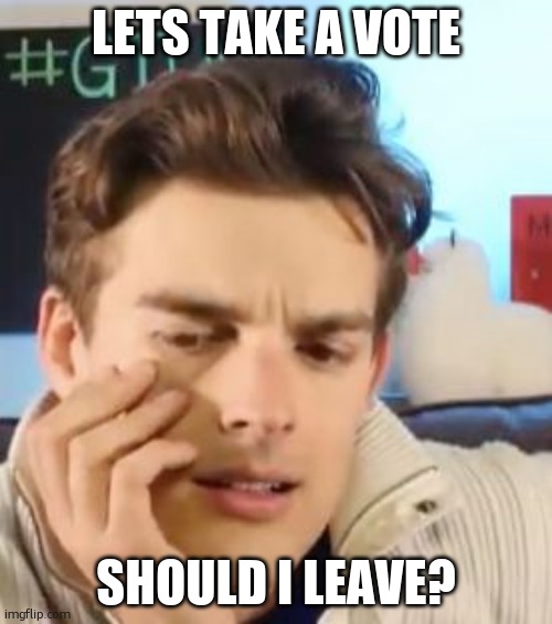 MatPat contemplating life | LETS TAKE A VOTE; SHOULD I LEAVE? | image tagged in matpat contemplating life | made w/ Imgflip meme maker