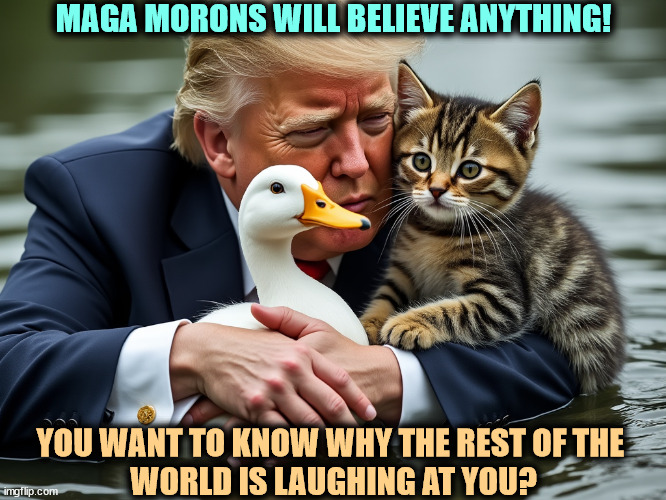 Have you no bullshit detector at all? | MAGA MORONS WILL BELIEVE ANYTHING! YOU WANT TO KNOW WHY THE REST OF THE 
WORLD IS LAUGHING AT YOU? | image tagged in trump,duck,cat,haiti,immigrants | made w/ Imgflip meme maker