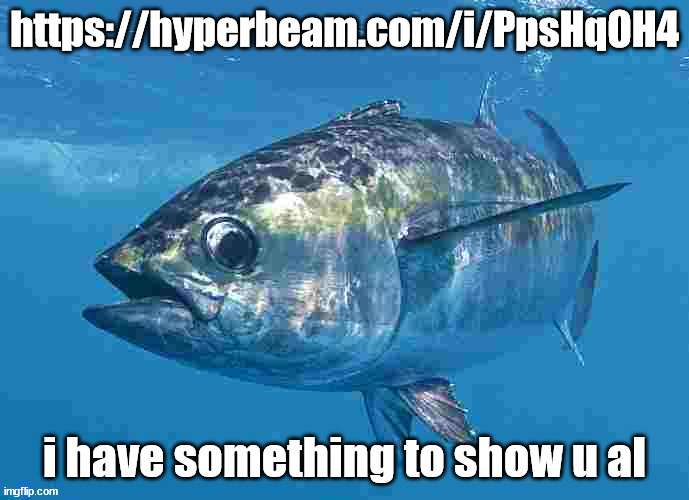 https://hyperbeam.com/i/PpsHqOH4 | https://hyperbeam.com/i/PpsHqOH4; i have something to show u al | image tagged in tuma fibsh | made w/ Imgflip meme maker