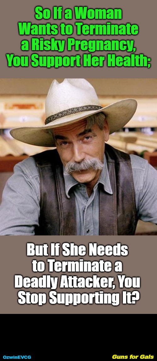 Guns for Gals [V3] | So If a Woman 

Wants to Terminate 

a Risky Pregnancy, 

You Support Her Health;; But If She Needs 

to Terminate a 

Deadly Attacker, You 

Stop Supporting It? Guns for Gals; OzwinEVCG | image tagged in women,firearms,abortion,logic,healthcare,sarcasm cowboy | made w/ Imgflip meme maker