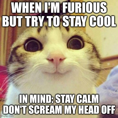 Smiling Cat | WHEN I'M FURIOUS BUT TRY TO STAY COOL; IN MIND: STAY CALM DON'T SCREAM MY HEAD OFF | image tagged in memes,smiling cat | made w/ Imgflip meme maker