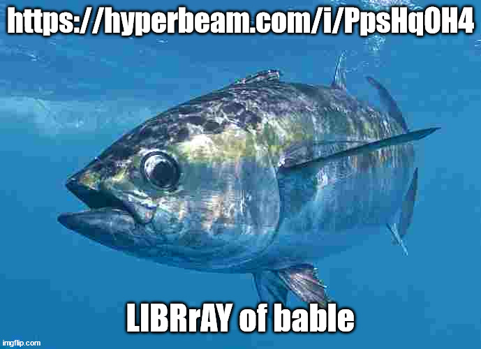 https://hyperbeam.com/i/PpsHqOH4 | https://hyperbeam.com/i/PpsHqOH4; LIBRrAY of bable | image tagged in tuma fibsh | made w/ Imgflip meme maker