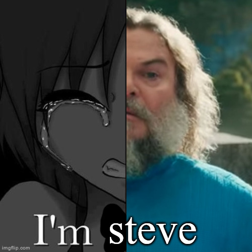 I'm fi | steve | image tagged in i'm fi | made w/ Imgflip meme maker