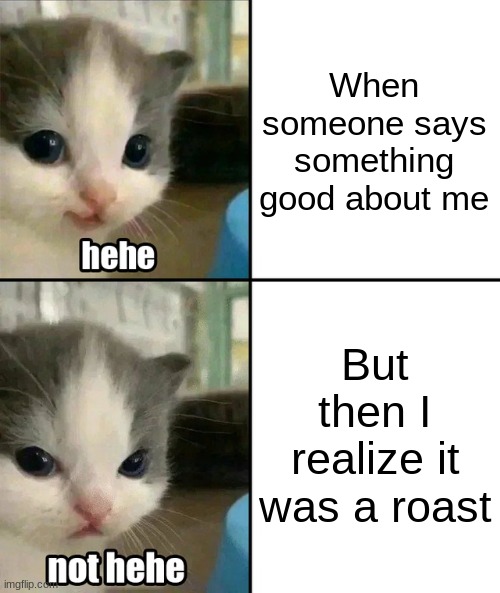 hehehehehe | When someone says something good about me; But then I realize it was a roast | image tagged in cute cat hehe and not hehe | made w/ Imgflip meme maker