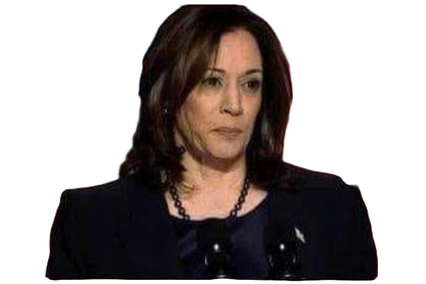 Kamala Harris "I'm Speaking" Blank Meme Template