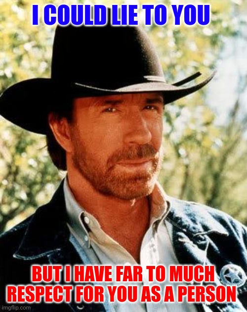 Repect | I COULD LIE TO YOU; BUT I HAVE FAR TO MUCH RESPECT FOR YOU AS A PERSON | image tagged in memes,chuck norris,funny memes | made w/ Imgflip meme maker