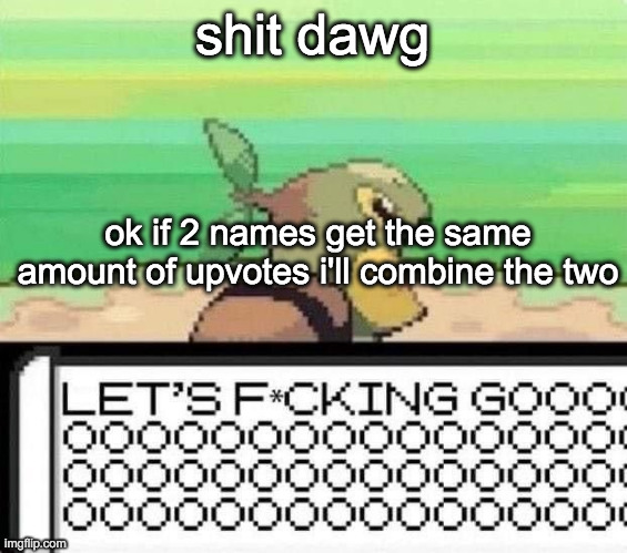 i am not combining all of them bruh | shit dawg; ok if 2 names get the same amount of upvotes i'll combine the two | image tagged in turtwig lets fucking go | made w/ Imgflip meme maker