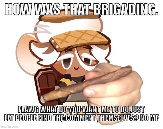 smore cookie with a blunt | HOW WAS THAT BRIGADING. FLAWG WHAT DO YOU WANT ME TO DO JUST LET PEOPLE FIND THE COMMENT THEMSELVES? NO MF | image tagged in smore cookie with a blunt | made w/ Imgflip meme maker