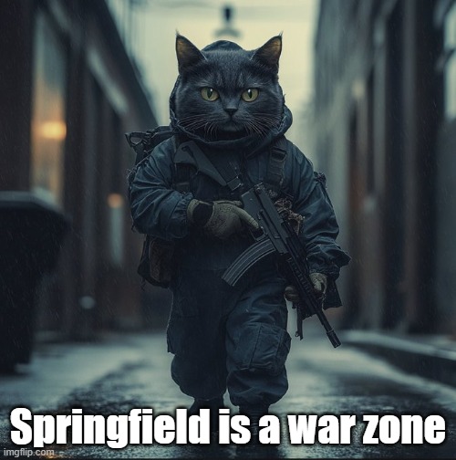 Kitty's got a gun | Springfield is a war zone | image tagged in kitty's got a gun | made w/ Imgflip meme maker