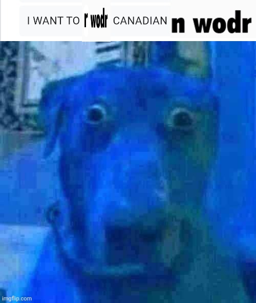 image tagged in shocked dog | made w/ Imgflip meme maker