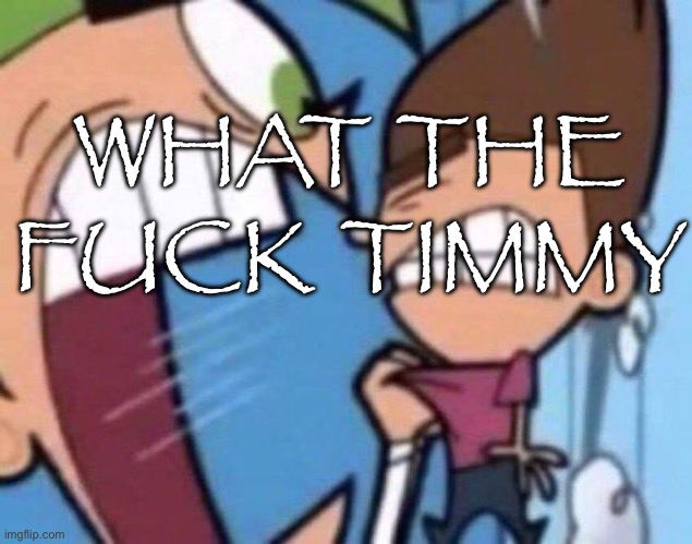 Cosmo yelling at timmy | WHAT THE FUCK TIMMY | image tagged in cosmo yelling at timmy | made w/ Imgflip meme maker