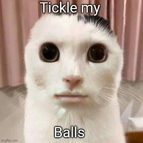 My honest reaction | Tickle my; Balls | image tagged in my honest reaction | made w/ Imgflip meme maker