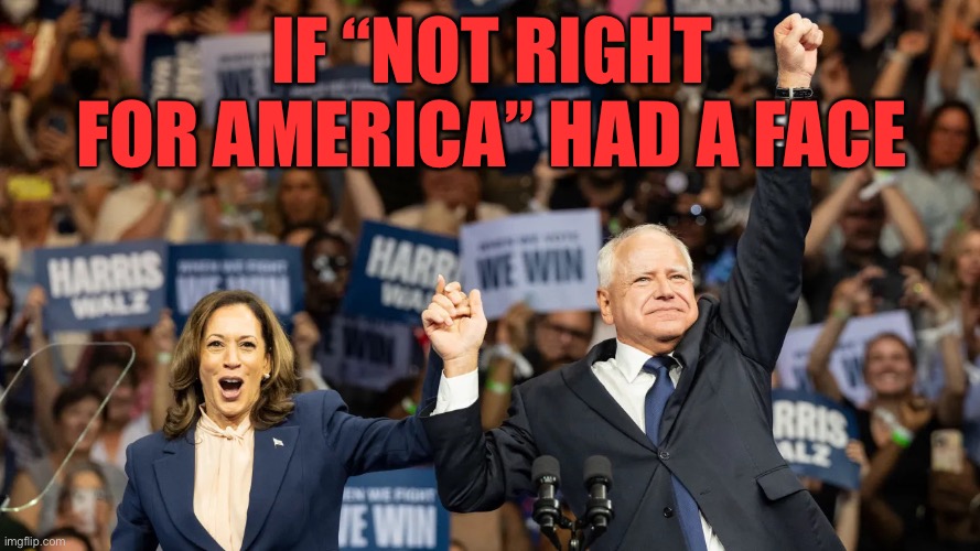 The face of NOT RIGHT FOR AMERICA | IF “NOT RIGHT FOR AMERICA” HAD A FACE | image tagged in harris walz 2024,face,not right,for america | made w/ Imgflip meme maker