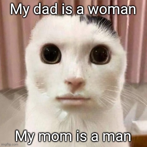 Gen z problems | My dad is a woman; My mom is a man | image tagged in my honest reaction | made w/ Imgflip meme maker