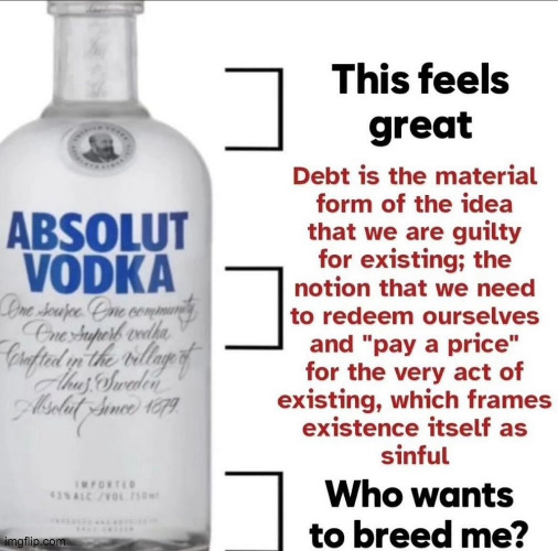 dip your balls in sulfuric acid | image tagged in who wants to breed me vodka | made w/ Imgflip meme maker