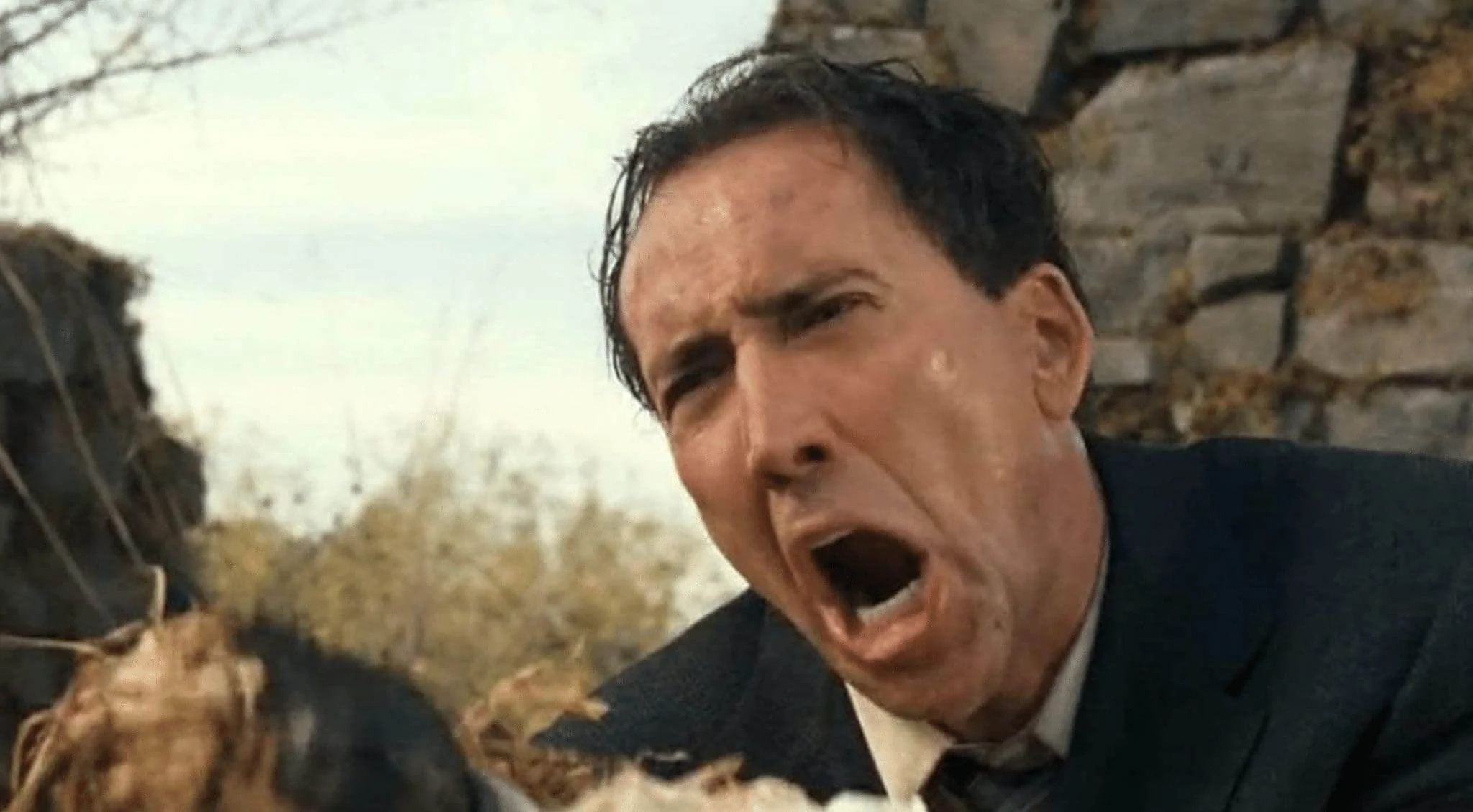 High Quality Nic Cage yelling Blank Meme Template