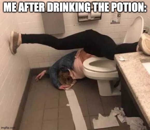 Passed out in the bathroom | ME AFTER DRINKING THE POTION: | image tagged in passed out in the bathroom | made w/ Imgflip meme maker