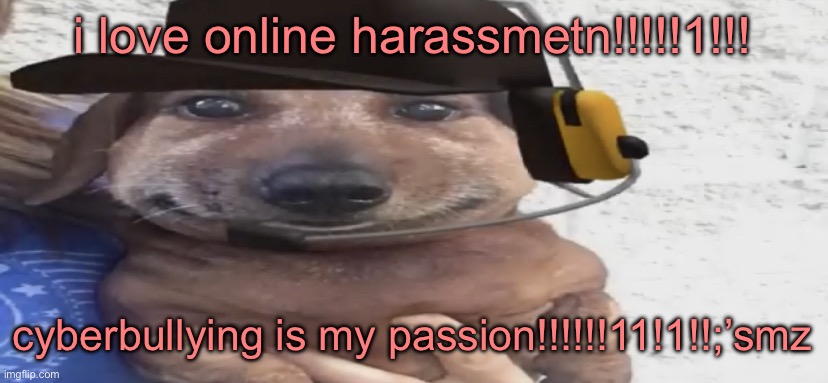 chucklenuts | i love online harassmetn!!!!!1!!! cyberbullying is my passion!!!!!!11!1!!;’smz | image tagged in chucklenuts | made w/ Imgflip meme maker