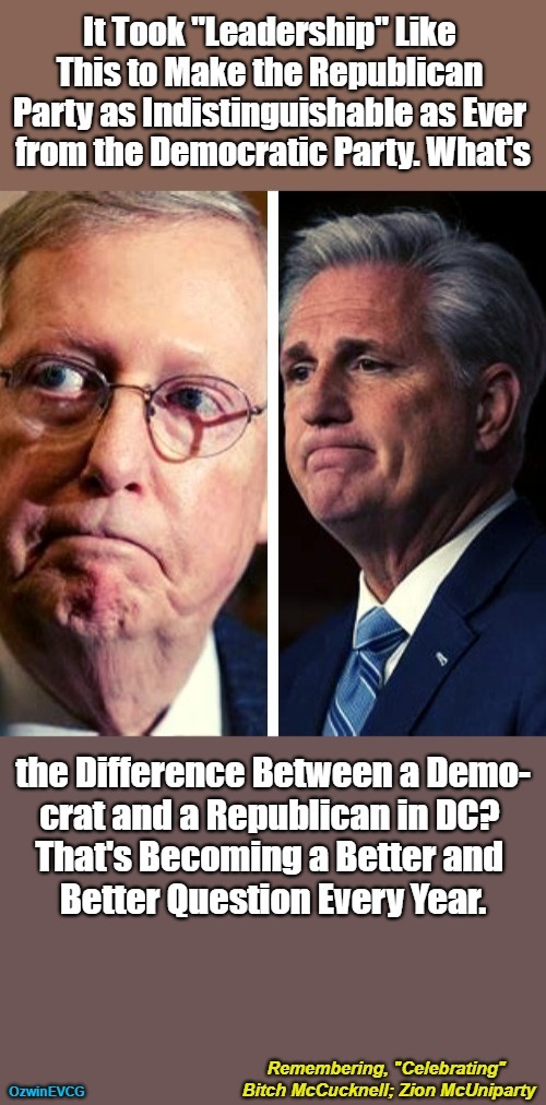 Remembering and "Celebrating" BM & ZM | image tagged in kevin mccarthy,zion mcuniparty,mitch mcconnell,bitch mccucknell,government corruption,nicknames for the nutless | made w/ Imgflip meme maker