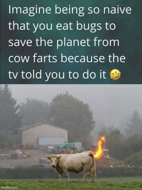 Farting cows and global warming | image tagged in global warming,propaganda | made w/ Imgflip meme maker