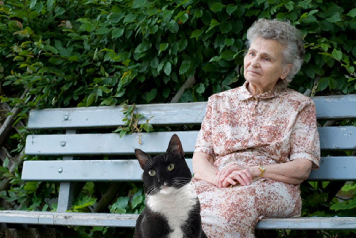 Old Cat Lady Blank Meme Template