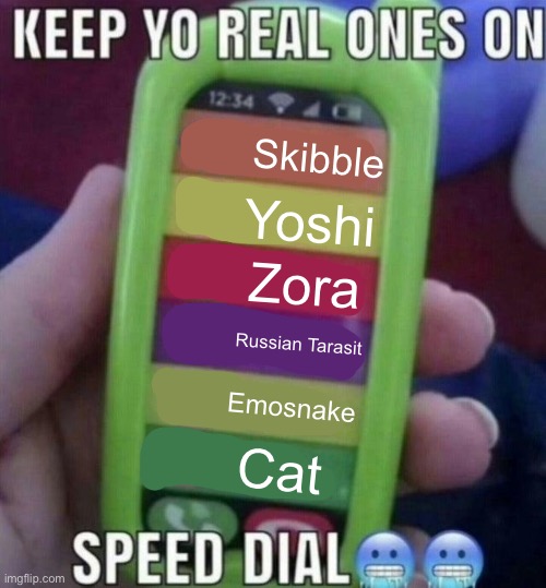 keep yo real ones on speed dial | Skibble; Yoshi; Zora; Russian Tarasit; Emosnake; Cat | image tagged in keep yo real ones on speed dial | made w/ Imgflip meme maker