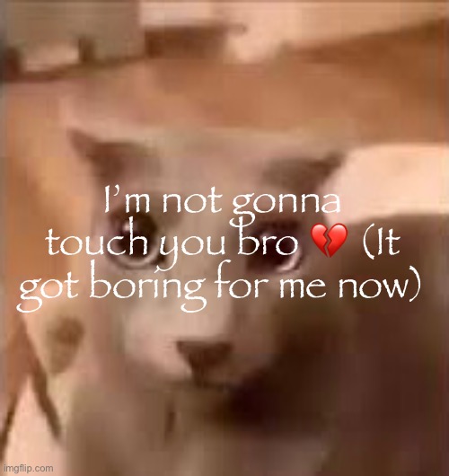 I’m not gonna touch you bro 💔 (It got boring for me now) | made w/ Imgflip meme maker