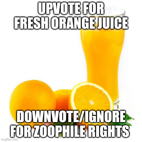 Scumbag orange juice | UPVOTE FOR FRESH ORANGE JUICE; DOWNVOTE/IGNORE FOR ZOOPHILE RIGHTS | image tagged in scumbag orange juice | made w/ Imgflip meme maker