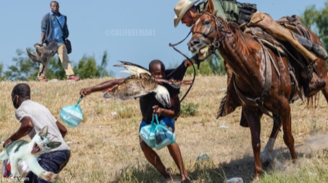 The Haitians….How it started. | @CALJFREEMAN1 | image tagged in haiti,animals,maga,secure the border,kamala harris,donald trump | made w/ Imgflip meme maker