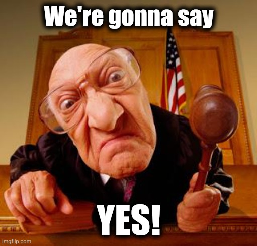 Mean Judge | We're gonna say YES! | image tagged in mean judge | made w/ Imgflip meme maker