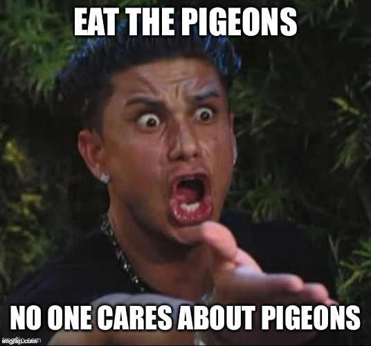 Someone explain this to the Haitians in Ohio! | EAT THE PIGEONS; NO ONE CARES ABOUT PIGEONS | image tagged in for crying out loud,haitians,cats,pigeons | made w/ Imgflip meme maker