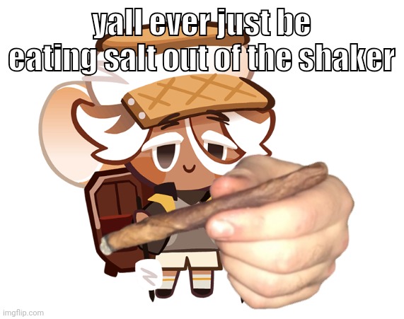 smore cookie with a blunt | yall ever just be eating salt out of the shaker | image tagged in smore cookie with a blunt | made w/ Imgflip meme maker