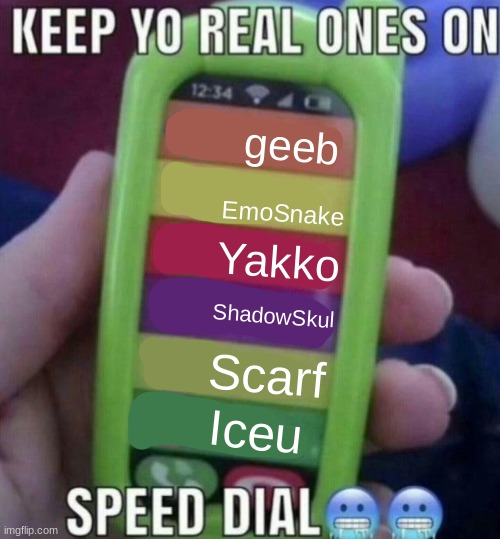 All people I have in memechat except for geeb | geeb; EmoSnake; Yakko; ShadowSkul; Scarf; Iceu | image tagged in keep yo real ones on speed dial | made w/ Imgflip meme maker