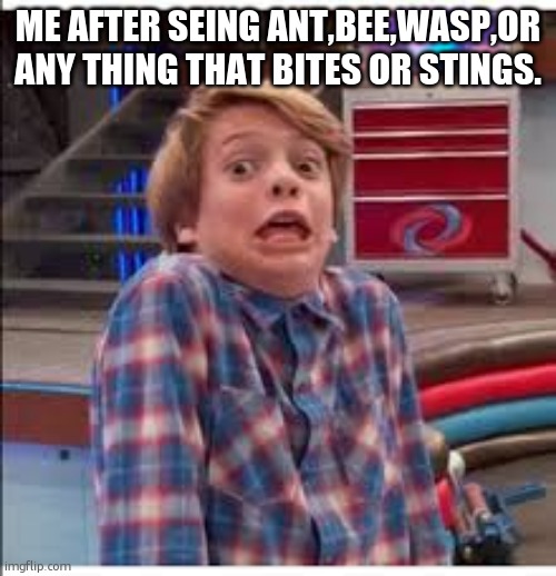 Ahhhh!! | ME AFTER SEING ANT,BEE,WASP,OR ANY THING THAT BITES OR STINGS. | image tagged in henry danger fearedboi | made w/ Imgflip meme maker